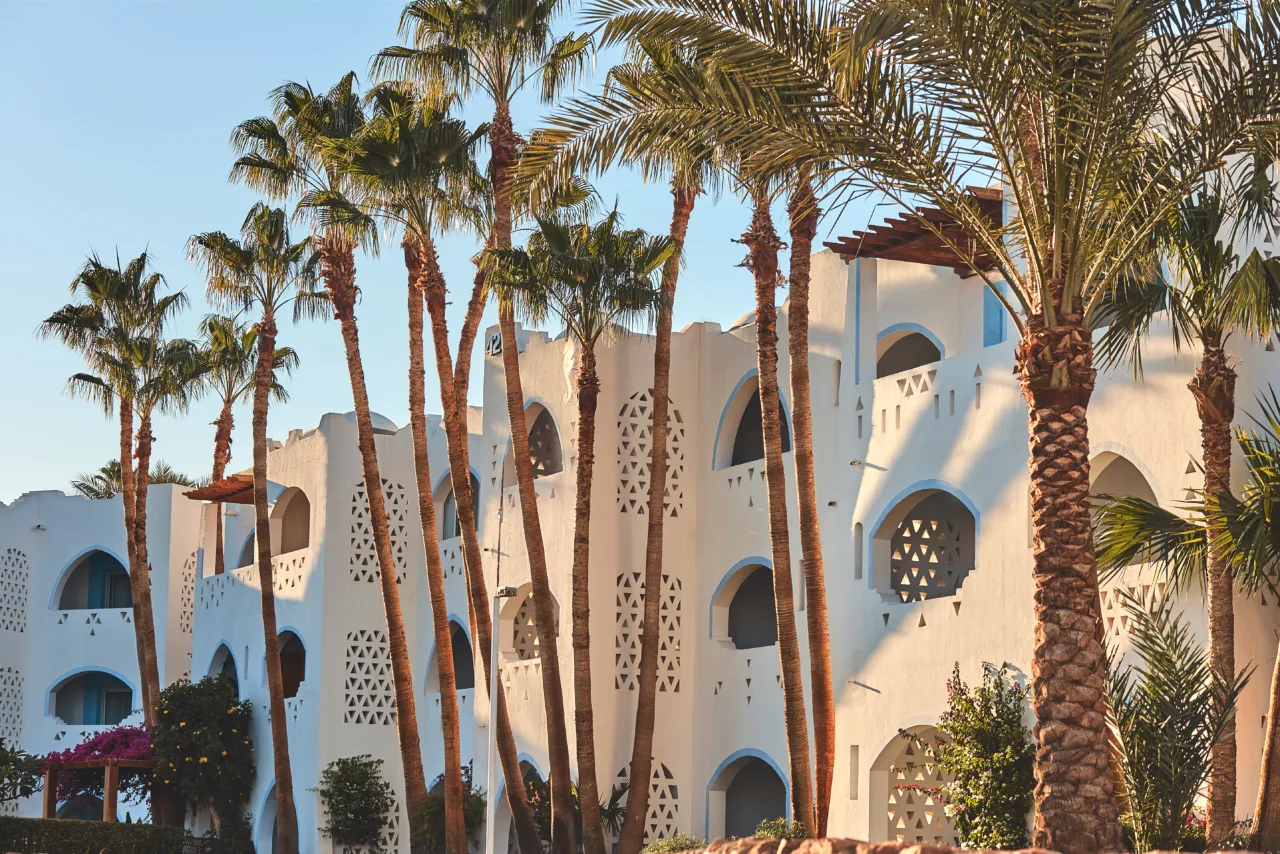 Top neighborhoods Marrakech La Palmeraie luxury villas palm trees aerial view